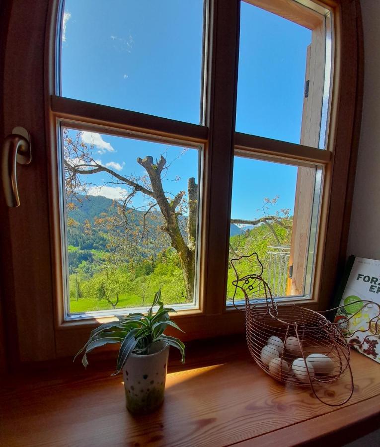B&B Chalet Dolomiti Sant'Orsola 외부 사진