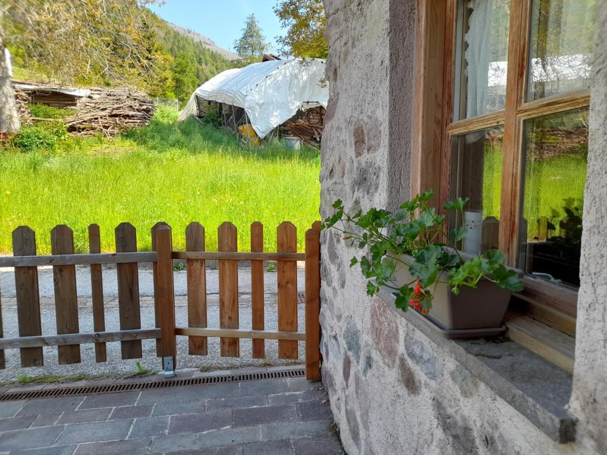 B&B Chalet Dolomiti Sant'Orsola 외부 사진