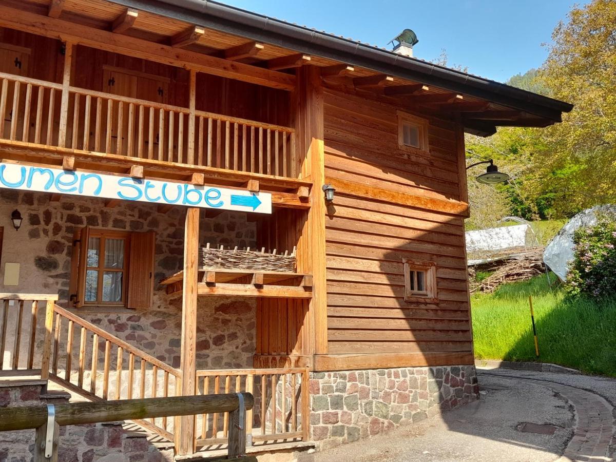 B&B Chalet Dolomiti Sant'Orsola 외부 사진