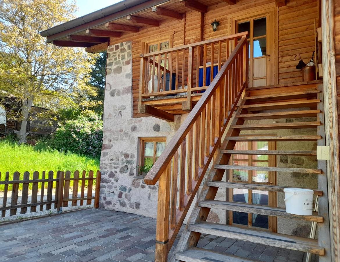 B&B Chalet Dolomiti Sant'Orsola 외부 사진