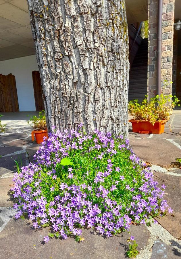 B&B Chalet Dolomiti Sant'Orsola 외부 사진