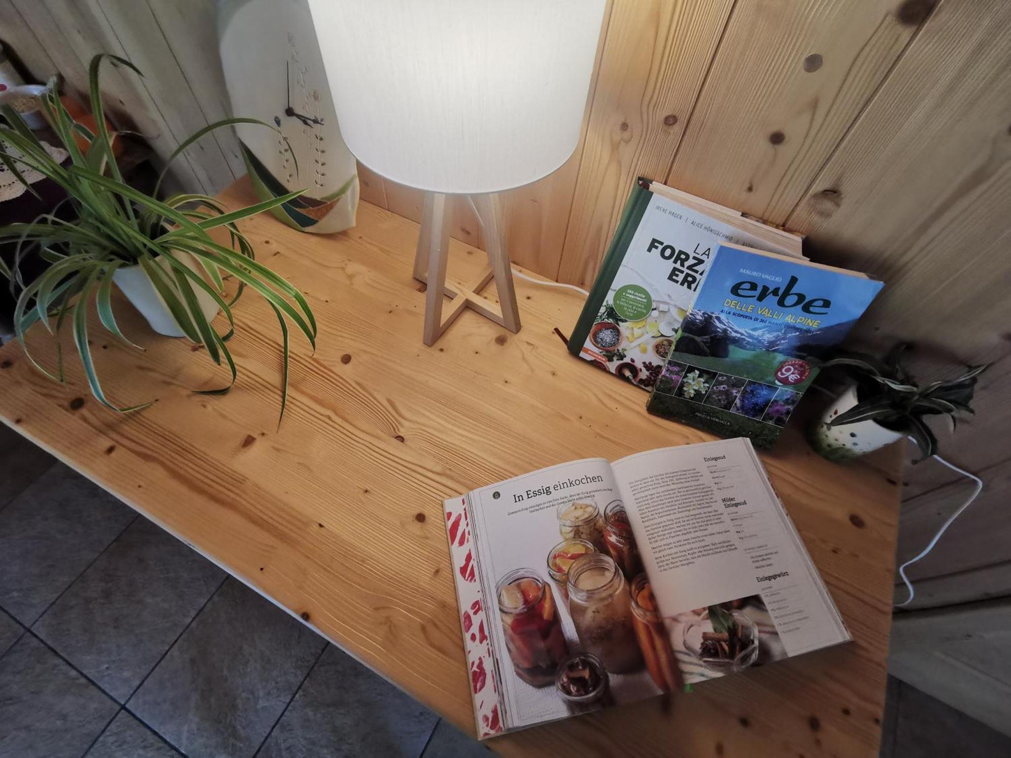 B&B Chalet Dolomiti Sant'Orsola 외부 사진