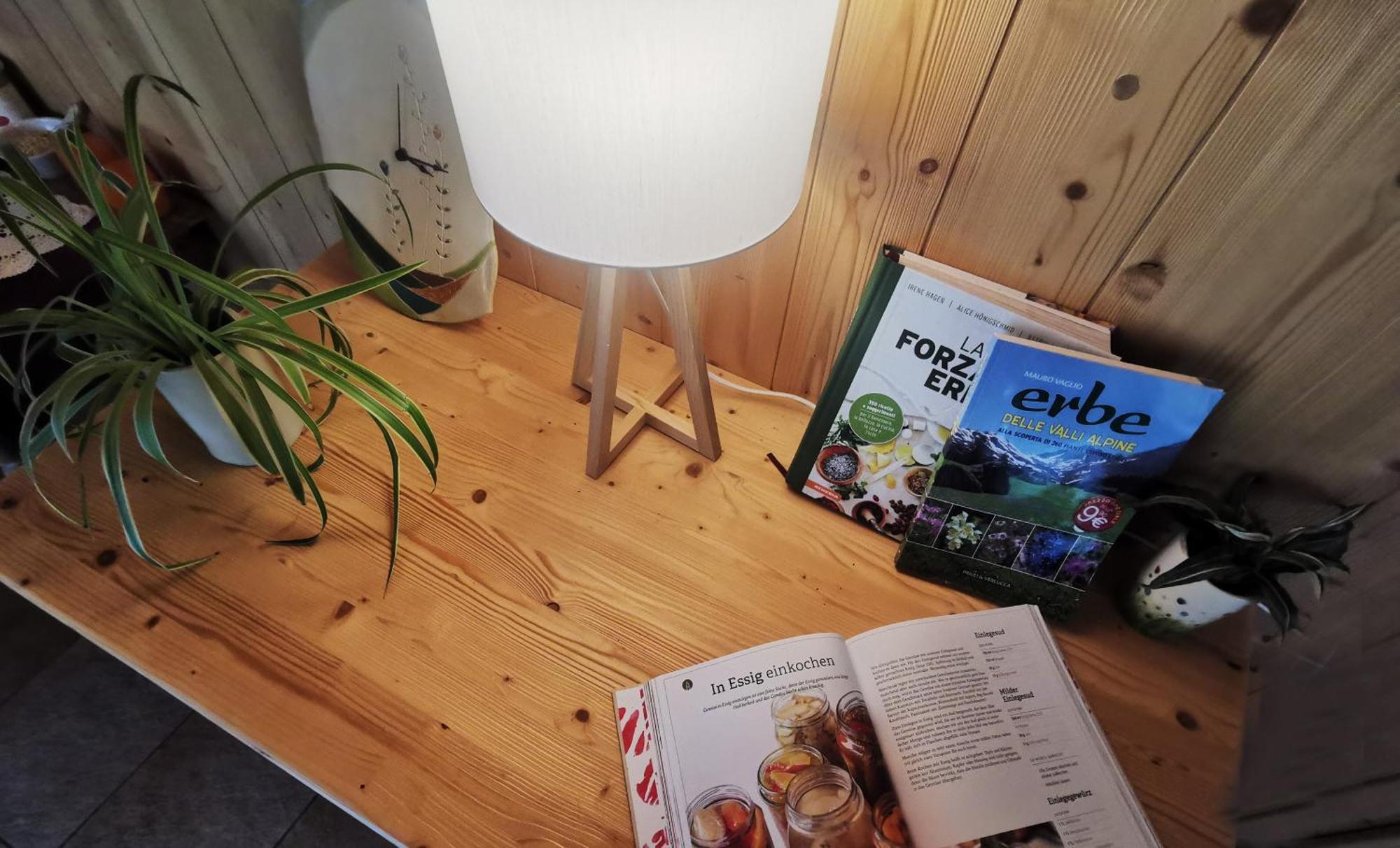 B&B Chalet Dolomiti Sant'Orsola 외부 사진